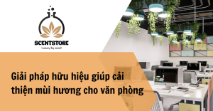 Cải thiện mùi hương cho văn phòng