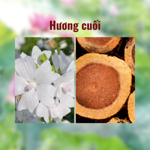 Hương cuối của tinh dầu thơm