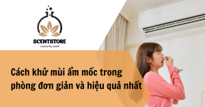 Cách khử mùi ẩm mốc hiệu quả