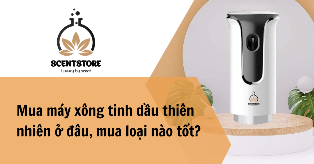 Mua máy xông tinh dầu thiên nhiên ở đâu tốt?