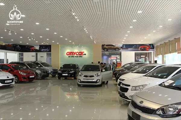 Showroom xe hơi đẹp và sang trọng