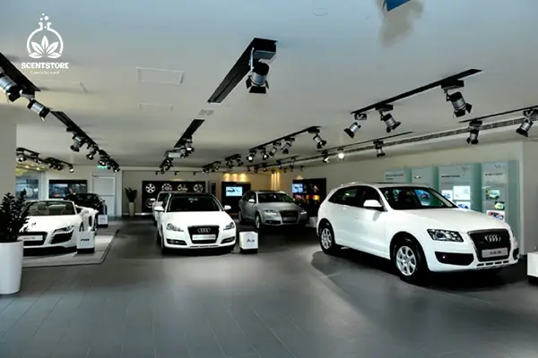 Showroom xe hơi đẹp sang trọng