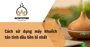 Cách sử dụng máy khuếch tán tinh dầu bền bỉ nhất