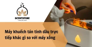 Máy khuếch tán tinh dầu trực tiếp khác gì máy xông tinh dầu pha nước