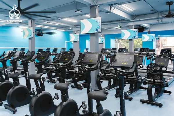 Mô hình kinh doanh phòng gym lợi nhuận cao